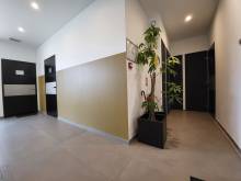 Nos prestations sur le secteur de Lattes 34 proche de Pérols dans l’Hérault